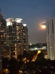 Bayshore Park (D16), Condominium #185221162